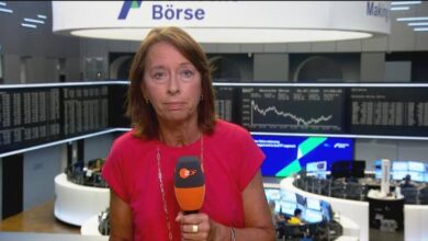 stephanie barrett börse